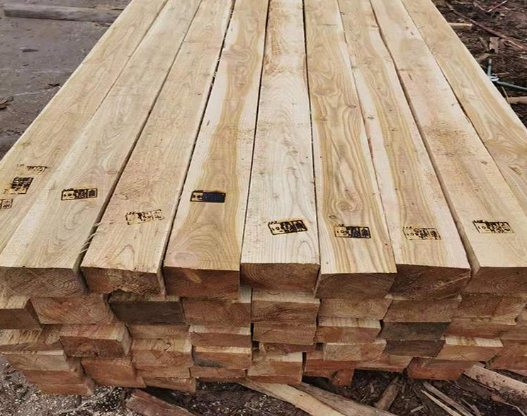 白松木方进口报关